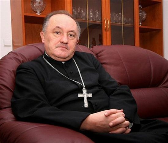 Abp Nycz: chcemy przeprosić za akty profanacji krzyża