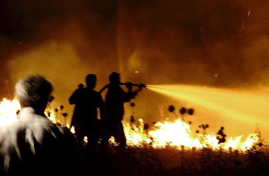 Pożar na wyspie Rodos, spłonęło 1500 ha lasów