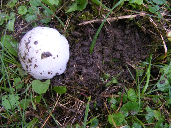 Gradobicie i burze na Śląsku; 300 interwencji strażaków