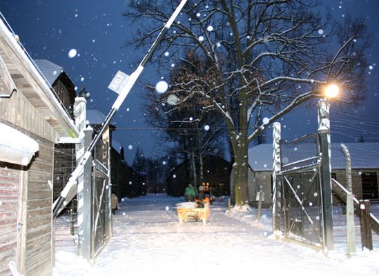 Polska otrzyma pomoc ws. kradzieży w Auschwitz