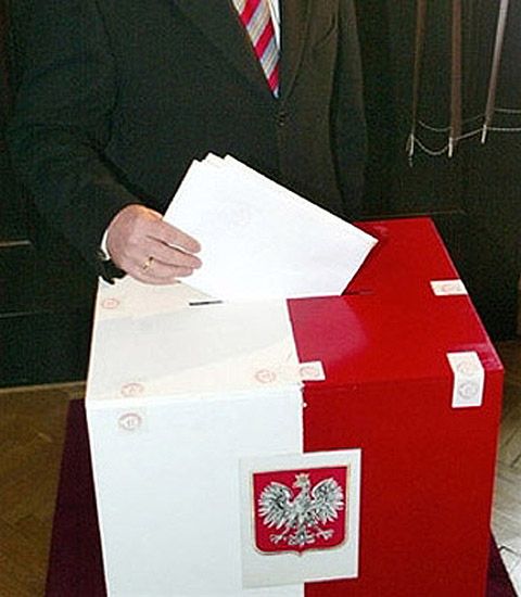 Na Allegro można kupić głosy wyborców za 15 tys. zł.