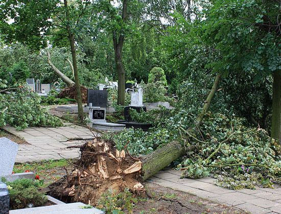 7 osób zginęło, wielu rannych - w sobotę burze i wiatr