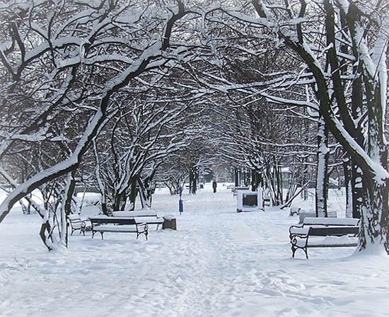 Czeka nas deszcz ze śniegiem i gołoledź