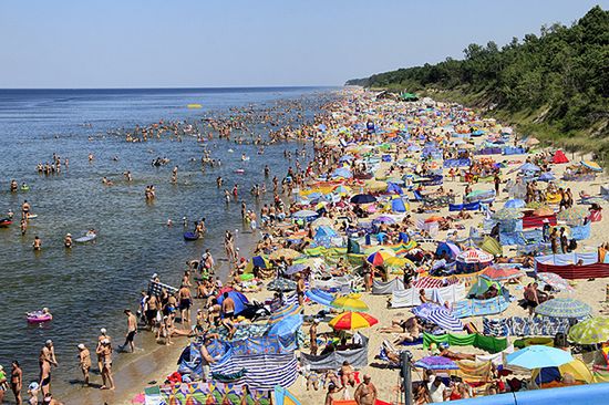 "Proszę o interwencję, foka leży na moim kocu"