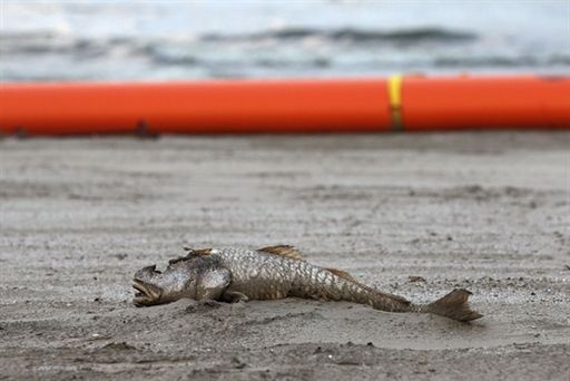 Ministerstwo Sprawiedliwości nie zawrze ugody z BP