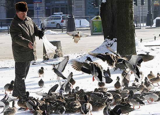 Zima nie odpuszcza? Sprawdź prognozę