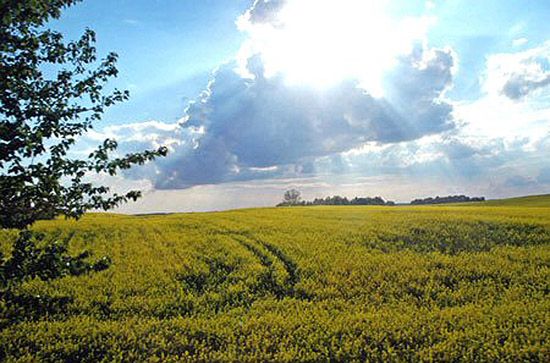 Prokuratura bada sprawę rekompensaty dla albertynek