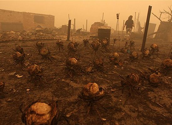 Ustępują pożary lasów i torfowisk w Rosji