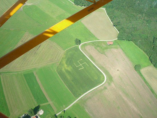Gigantyczna swastyka w polu kukurydzy; trwa śledztwo