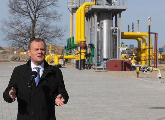 Będzie referendum ws. budowy elektrowni w Polsce?