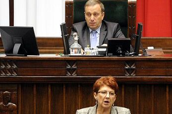 Sejm zdecydował ws. projektów in vitro