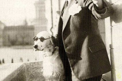 Pies udający Adolfa Hitlera rozwścieczył nazistów