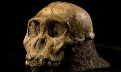 9-latek znalazł szczątki nieznanego wcześniej gatunku