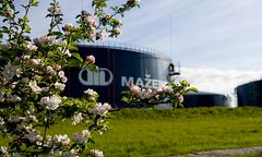 Polski rząd chce sprzedać Rosjanom Możejki?