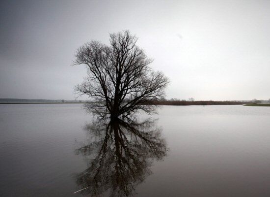 Groźny żywioł zbliża się do Kalifornii