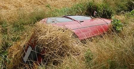 Wypadł z drogi, obsypał auto słomą, ukrył się w kukurydzy