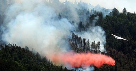 Kalifornia w ogniu - władze ogłosiły stan wyjątkowy