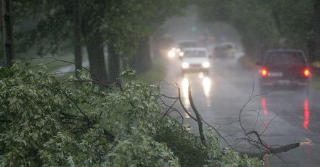 Meteorolodzy: niszczycielski żywioł może wyrywać drzewa z korzeniami