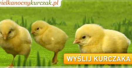 Skąd się biorą jaja?:)