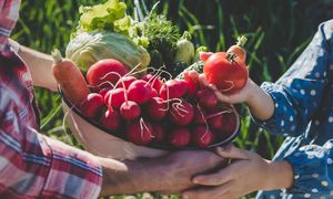 Czy warzywa z miejskich ogródków są bezpieczne? Naukowcy alarmują