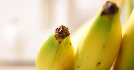 Czy należy usuwać "końcówkę" bananów?