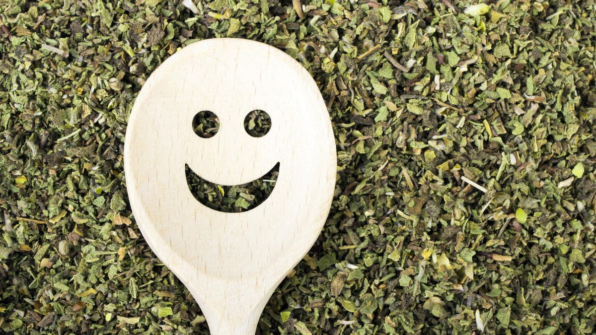 Czystek to silny antyoksydant