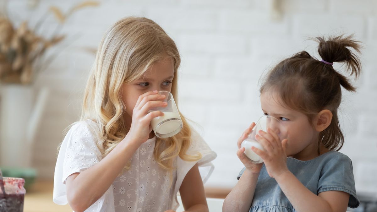 Mleko – życiodajny napój