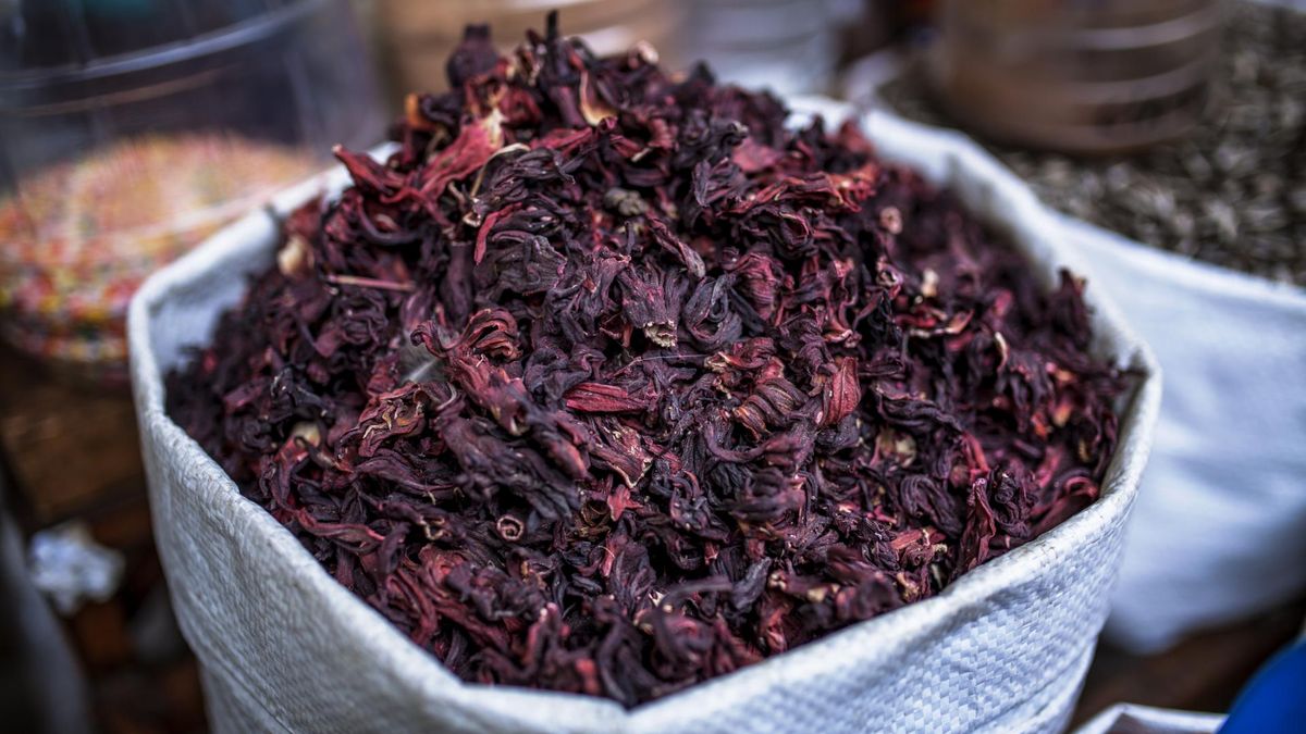 Hibiskus to krzew z pięknymi, różnokolorowymi kwiatami.