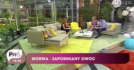 Morwa biała - idealna dla diabetyków i chorych na nerki (WIDEO)