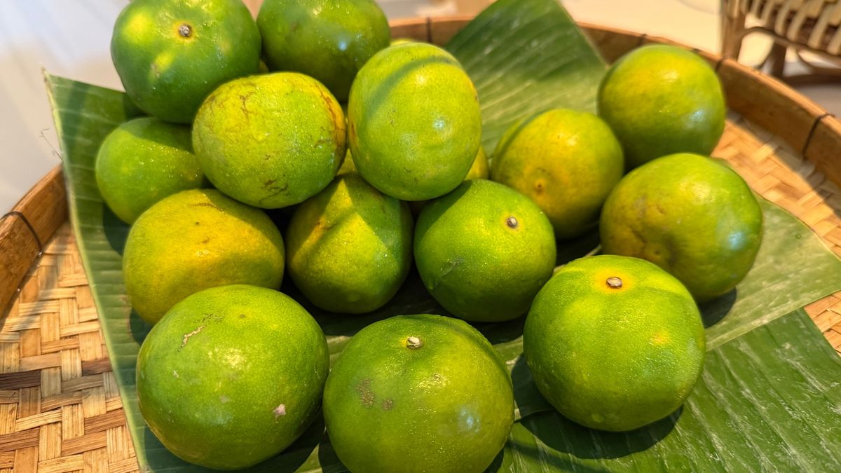 Warto sięgać po calamansi dla smaku i naturalnej porcji witaminy C