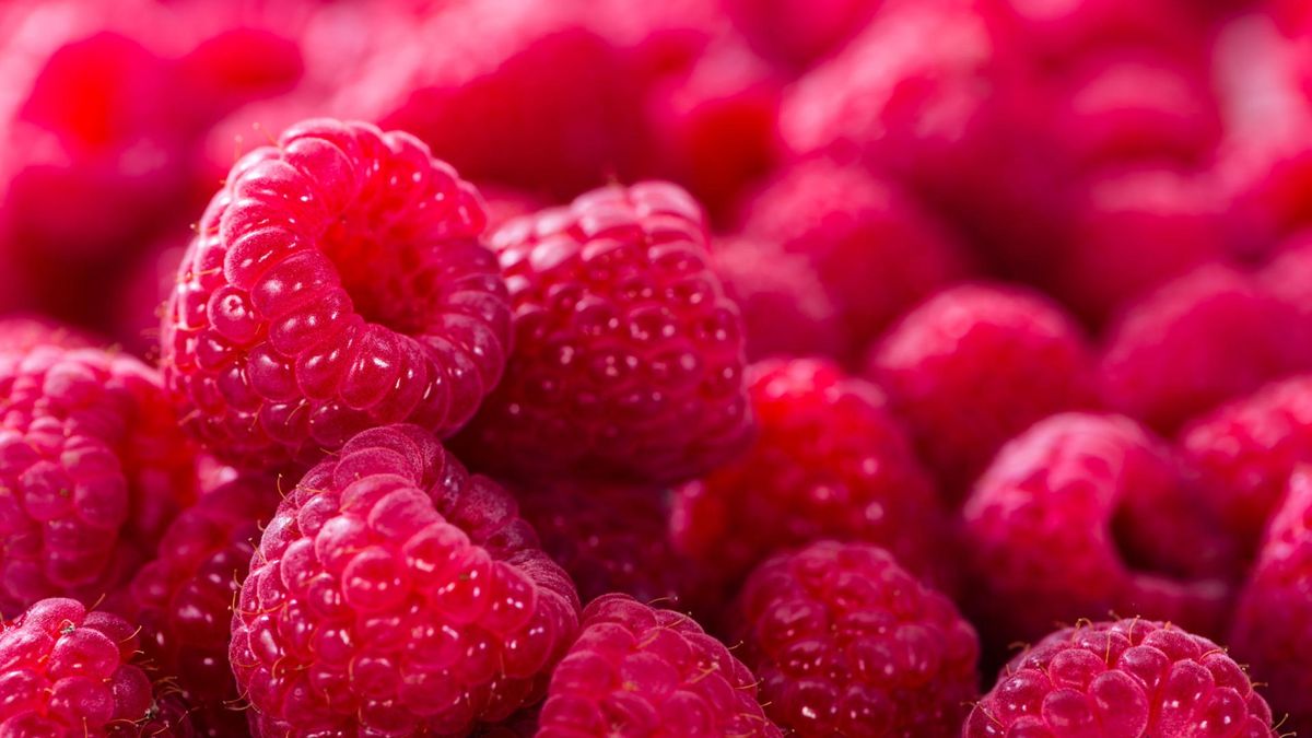 Maliny w ciąży - czy można je jeść?