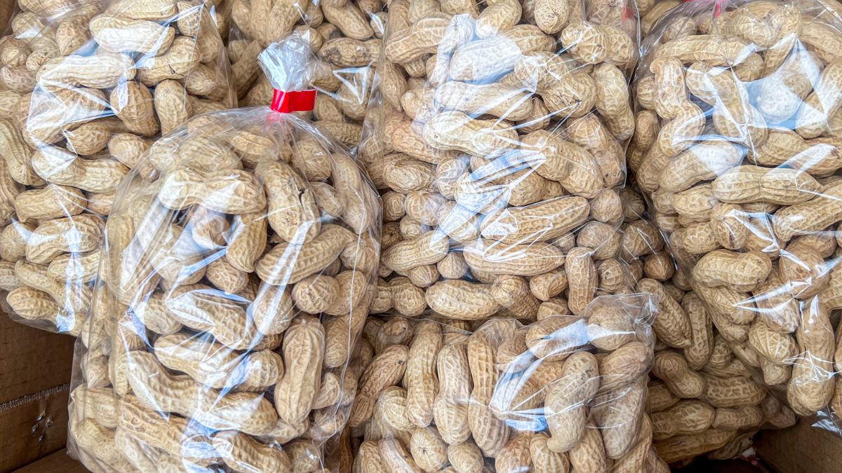 Jakie orzechy i nasiona warto jeść na co dzień?