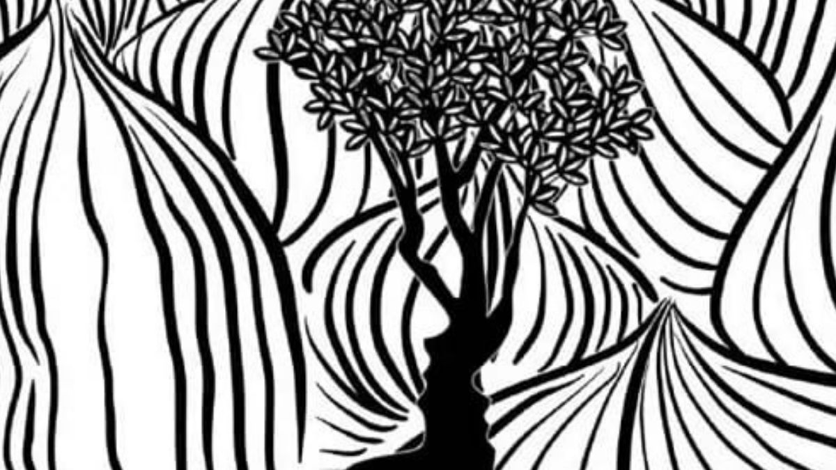 Co widzisz na obrazku? Test w kilka chwil pokaże, kim jesteś