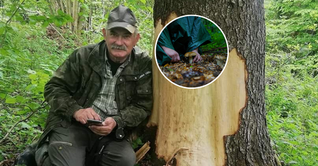 Smaczny, ale zabija powoli. "Jedyny taki grzyb"