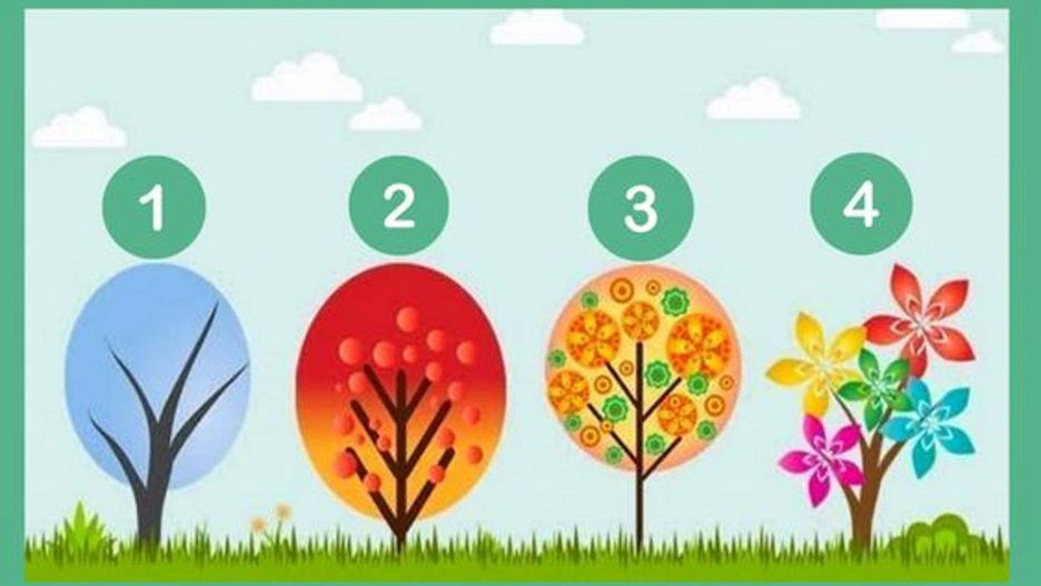 Nie zastanawiaj się długo i wybierz drzewo. Sprawdź, co to oznacza