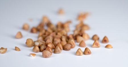 Ostrzeżenie dla alergików. GIS wycofuje kaszę gryczaną z powodu wykrycia glutenu