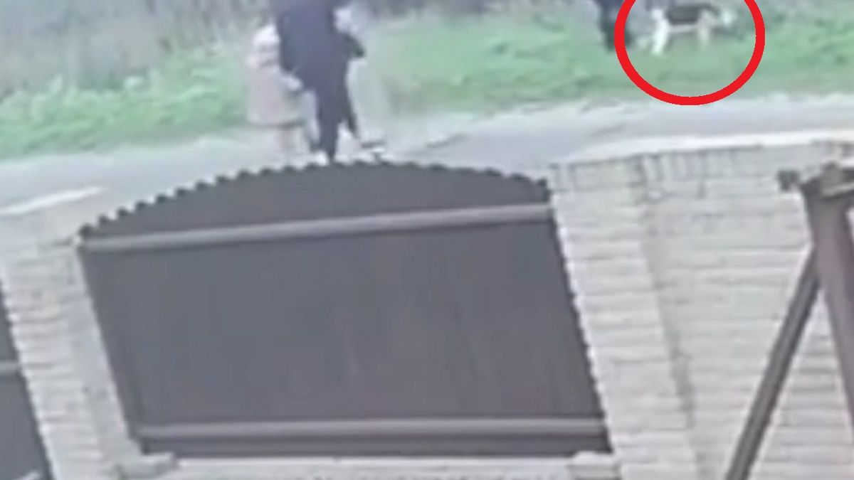 Przywiązała psa do ogrodzenia. Tłumaczyła, że dziecko się go bało