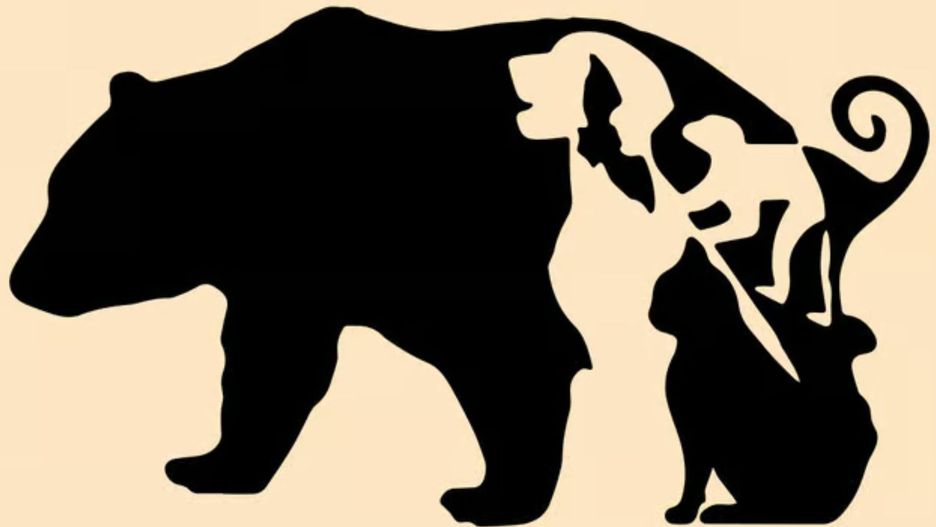 Sprawdź, czy jesteś spostrzegawczy. Tylko 1 proc. ludzi rozwiązuje tę zagadkę