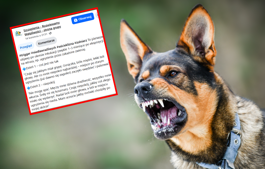 Opisał objawy wścieklizny. "Krzyczałem. Rwałem pościel"