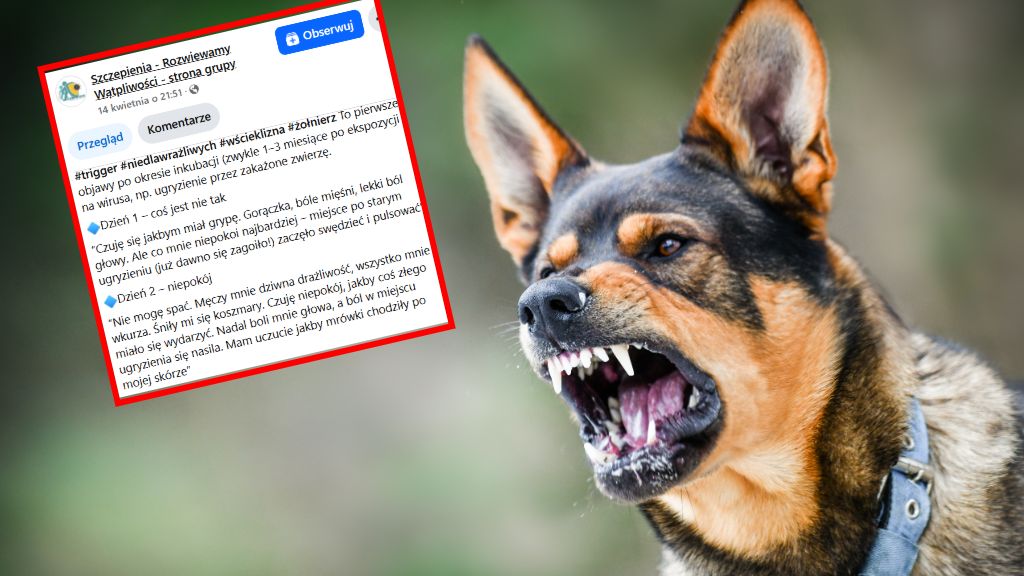 Jakie objawy daje wścieklizna?