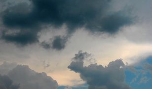 Synoptycy ostrzegają przed silnym wiatrem na Pomorzu