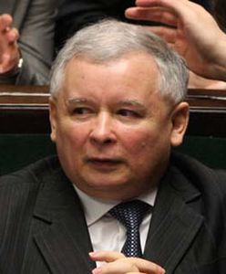 Od szeryfa do planktonu