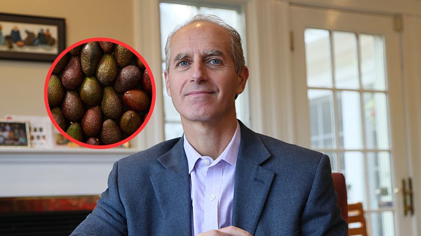 Awokado to jeden z najzdrowszych owoców