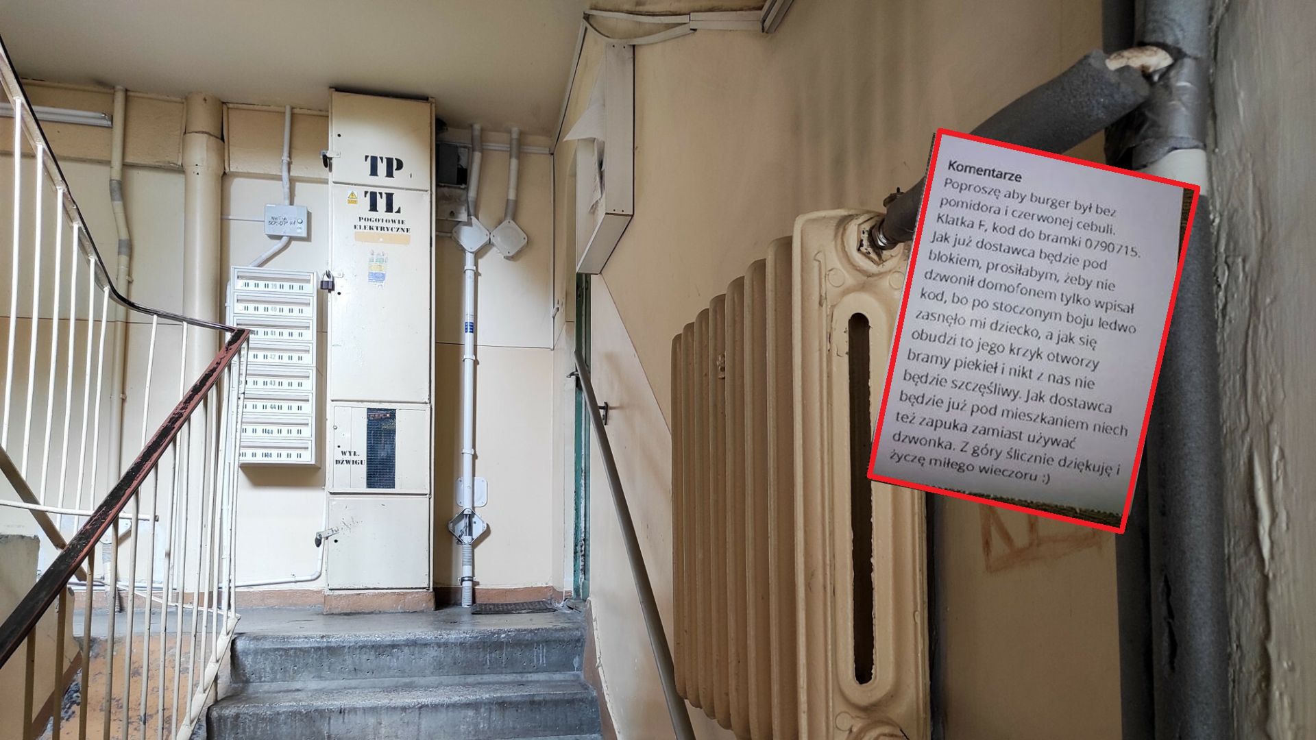 zdjęcie ilustracyjne 