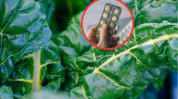 Najlepsze źródła witaminy K. Jedz dla zdrowia kości i antynowotworowych właściwości