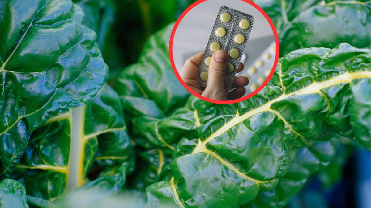 Bogate źródła witaminy K