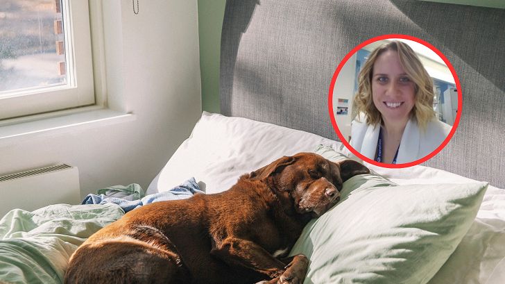 Śpisz z psem w łóżku? O tym musisz pamiętać