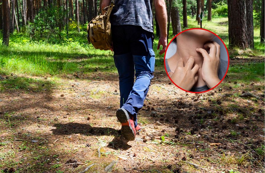 Ten pierwiastek zabija. Na zatrucie narażeni są także grzybiarze