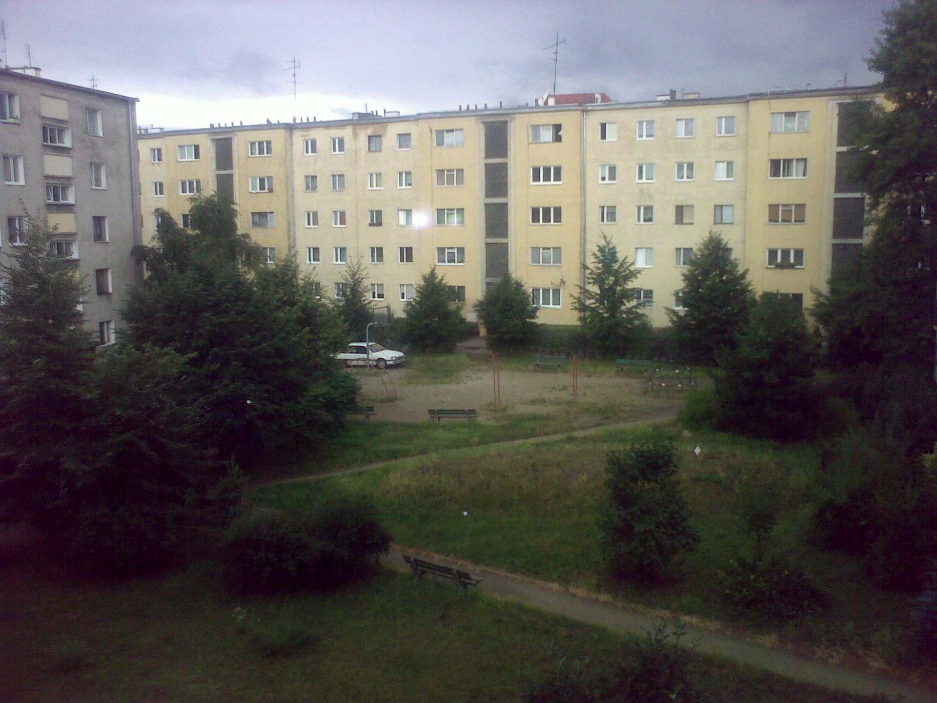 Obraz