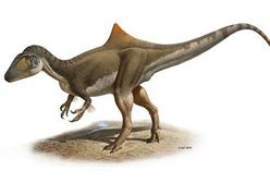 Dinozaury też miały garby